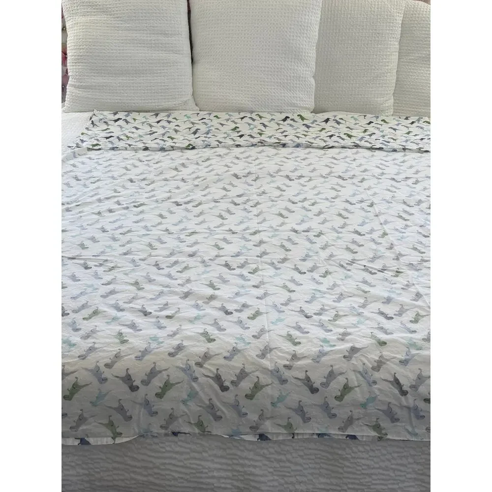 Pottery Barn Kids Dinosaur Twin Flat Sheet Organic Cotton Dino Bedding Child